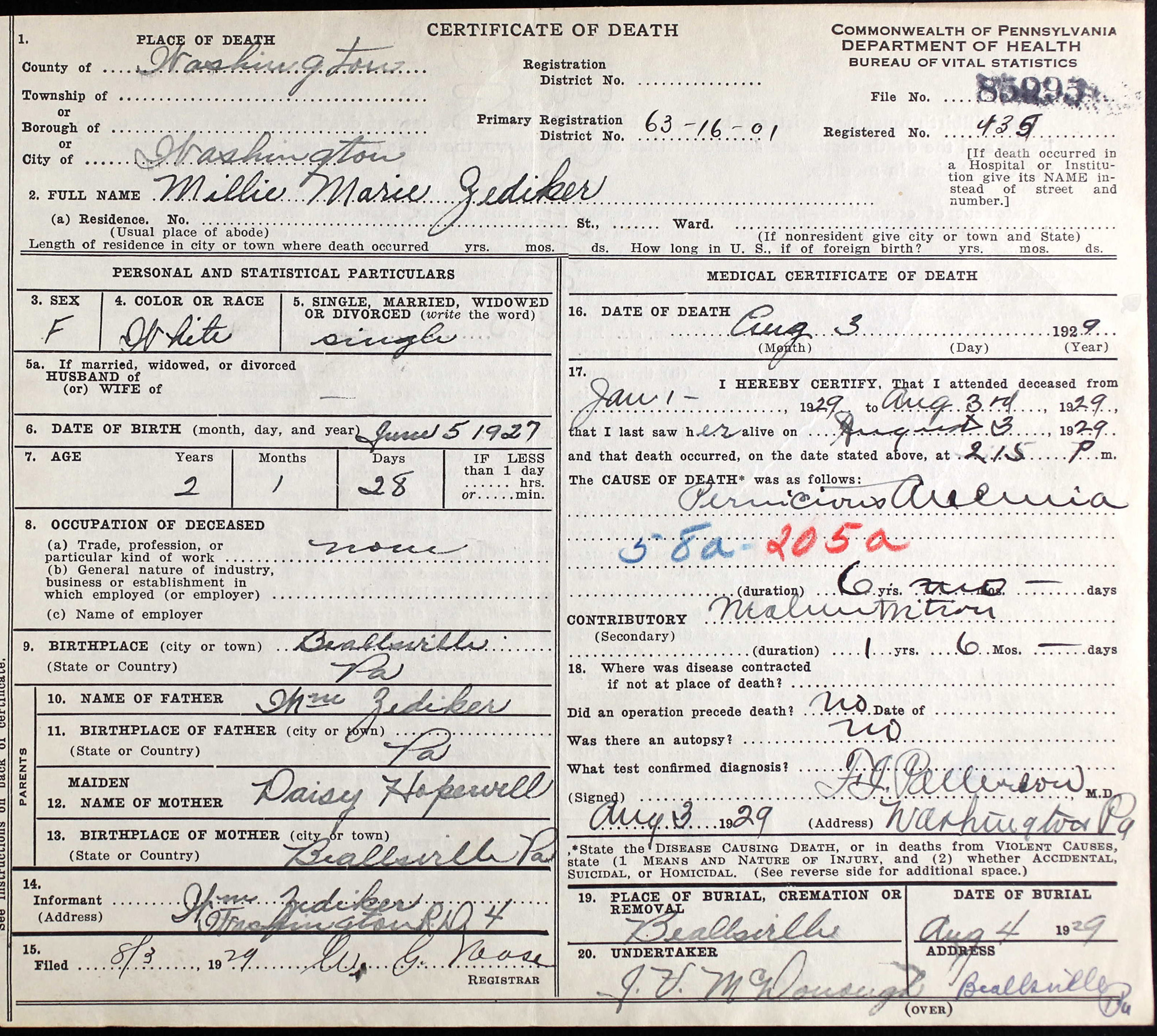 Millie Marie Zediker